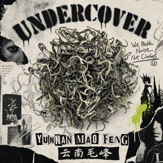Yunnan Mao Feng Green Tea
